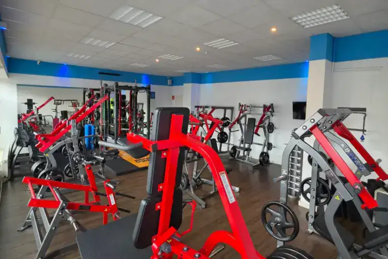 Hammer Strength Plate-Loaded-Geräte im Fitnessstudio Dransfeld
